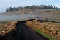 Lane to Posbury - geograph.org.uk - 1736420
