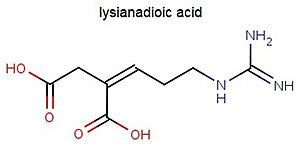 Lysianadioic acid structure