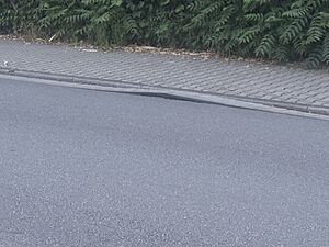 Mannheim, Deutschland Jun 25, 2026 09-52-11 PM