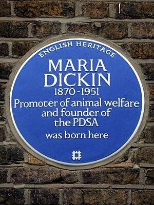 Maria Dickin 1870 - 1951 Promoter of animal welfare and founder of the PDSA was born here