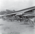 Market in Palu, 1958