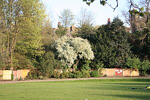 Maryon Park, Charlton, South East London