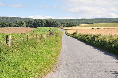 Minor road through farmland near Geddes - geograph.org.uk - 2013556