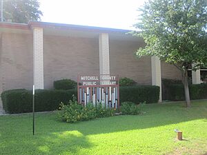 Mitchell County, TX, Public LibraryIMG 4529