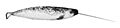 Monodon monoceros NOAA
