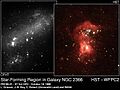 NGC 2366HST