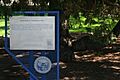 Nevada Historical Marker 81 Grand Army of the Republic Tree