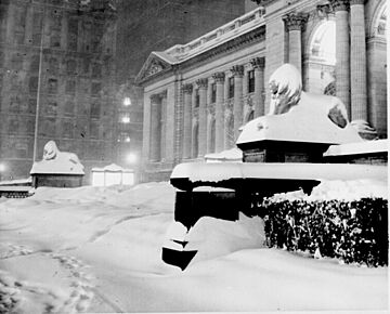 New york public library 1948