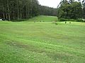 Ooty Golf Course (4651133244)