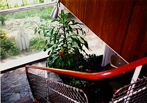 Orange House interior