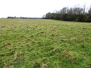 Otterpool Quarry 1