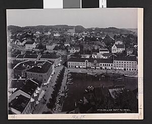 Parti fra Arendal, 1902 - no-nb digifoto 20160316 00013 bldsa fFA00284
