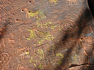 Petroglyphs at V-Bar-V Ranch