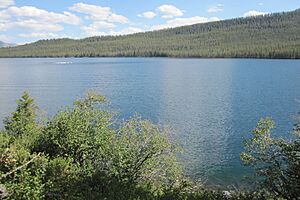 Pettit Lake Sawtooth