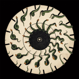 Phenakistiscope Snakes 16 sections - animated