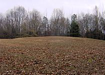 Pinson-mounds-mound12