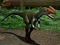 Proceratosaurus NT