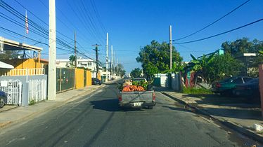 Pueblo de Cataño (01)