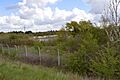 Purfleet Chalk Pits 3