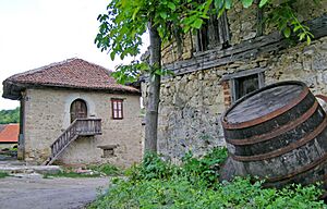 Rajačke pivnice, Rajac kod Negotina 17