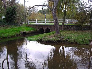River Hor at Horsham St Faiths (1)