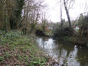 River Len LNR 4
