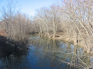 Salt Creek from Kent Road
