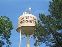 Sarepta Hornets on water tower IMG 3569