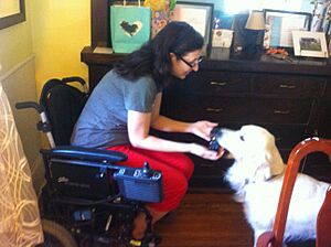 Service dog and handler in wheelchair
