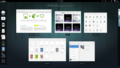 Shows Overview mode ("Activities") in GNOME 3.8