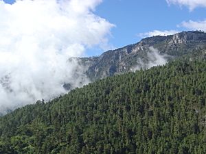 Sierra de los Cuchumatanes01