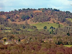 St Martha's Hill - geograph.org.uk - 1767199