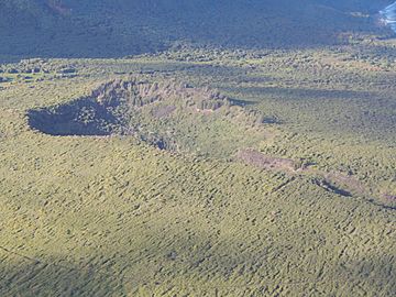 Starr-141025-2369-Casuarina equisetifolia-aerial view Kalaupapa and Kauhako Crater-North Coast-Molokai (25247592885).jpg