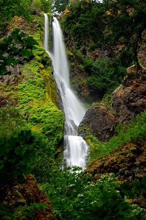 Starvation Creek Waterfall (Hood River County, Oregon scenic images) (hooDA0012).jpg