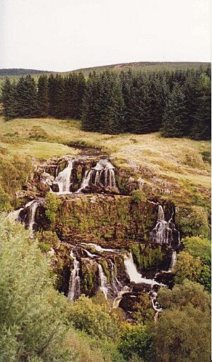 The Loup of Fintry - geograph.org.uk - 37222.jpg