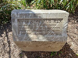 The Tyrannosaurus Rex information stone