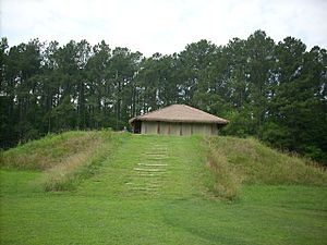 Town Creek Indian Mound3