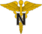 USA - Army Medical Nurse.png