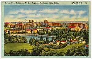 University of California At Los Angeles, Westwood Hills, Calif (74440)