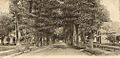 View of Meadow Street, Winsted, CT