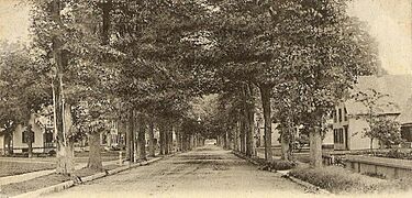 View of Meadow Street, Winsted, CT