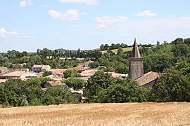 A general view of Saint-Papoul