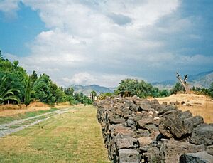 Walls at Naxos (71735239).jpg