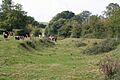 Wellington, the Grand Western Canal - geograph.org.uk - 56157