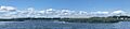 Wide view of swans at high tide in Charles E. Wheeler WMA