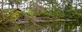 022306-gatorland04