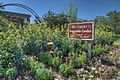 15-13-060, mr. cason’s vegetable garden - panoramio
