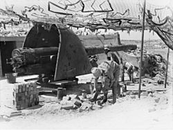 6 inch Mk VII gun Leighton Battery Fremantle 1943 AWM 029136.jpeg