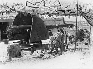 6 inch Mk VII gun Leighton Battery Fremantle 1943 AWM 029136