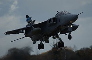 A Jaguar aircraft based at RAF Coltishall in Norfolk. pictured just about to take-off for a normal days flying. MOD 45141828.jpg